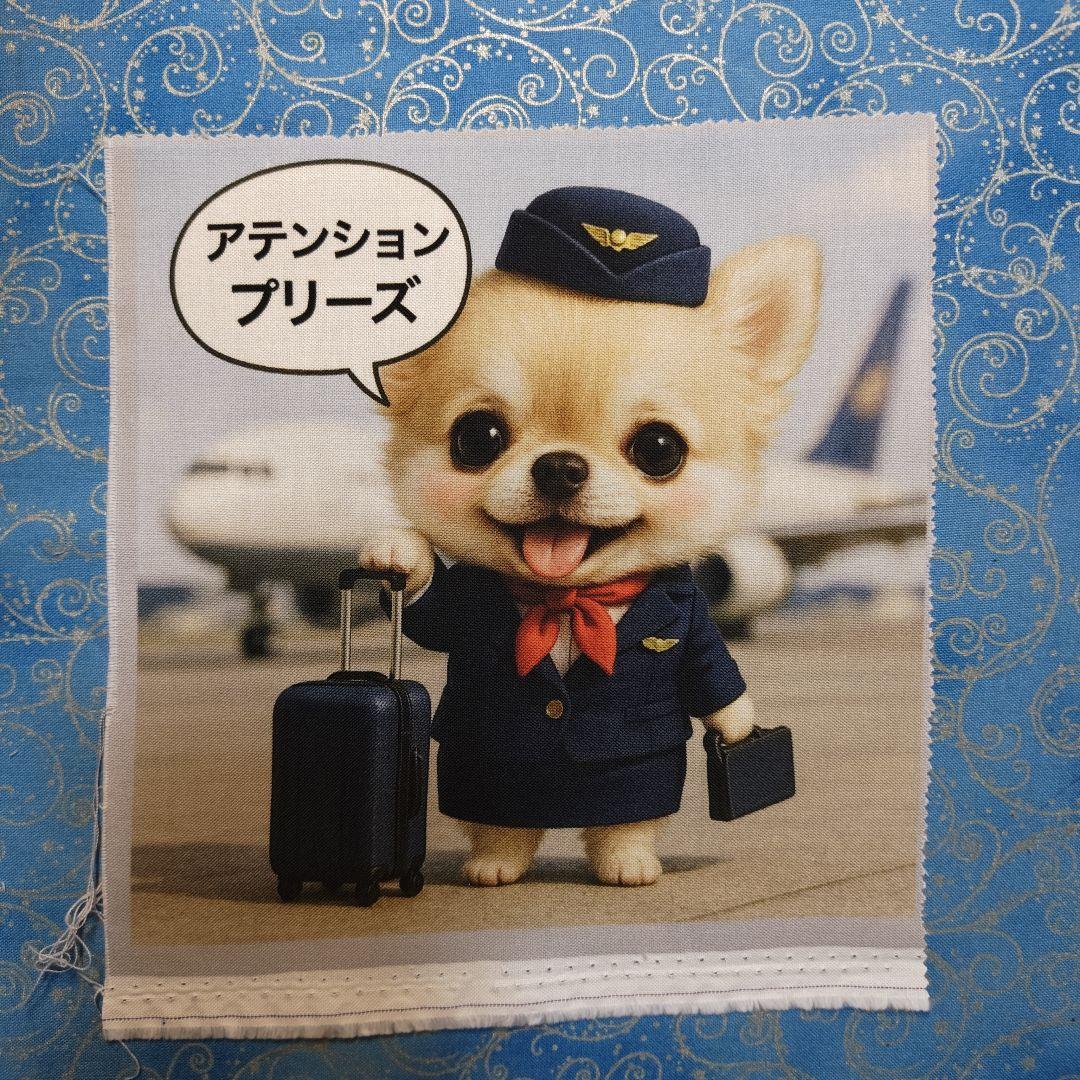 黒ねこ専用　パネル　チワワちゃん柄　45枚