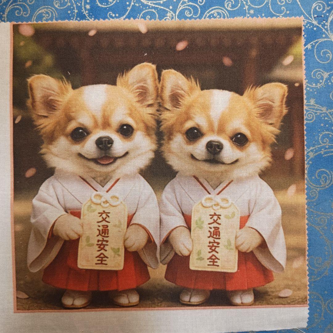 黒ねこ専用　パネル　チワワちゃん柄　45枚