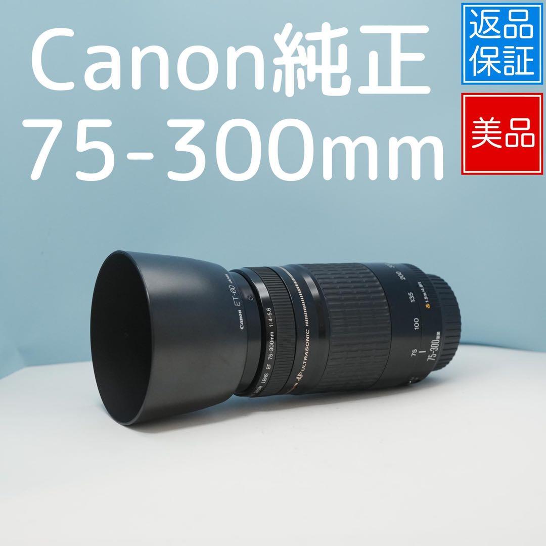 Canon純正 75-300mm 望遠レンズ 美品 a4572