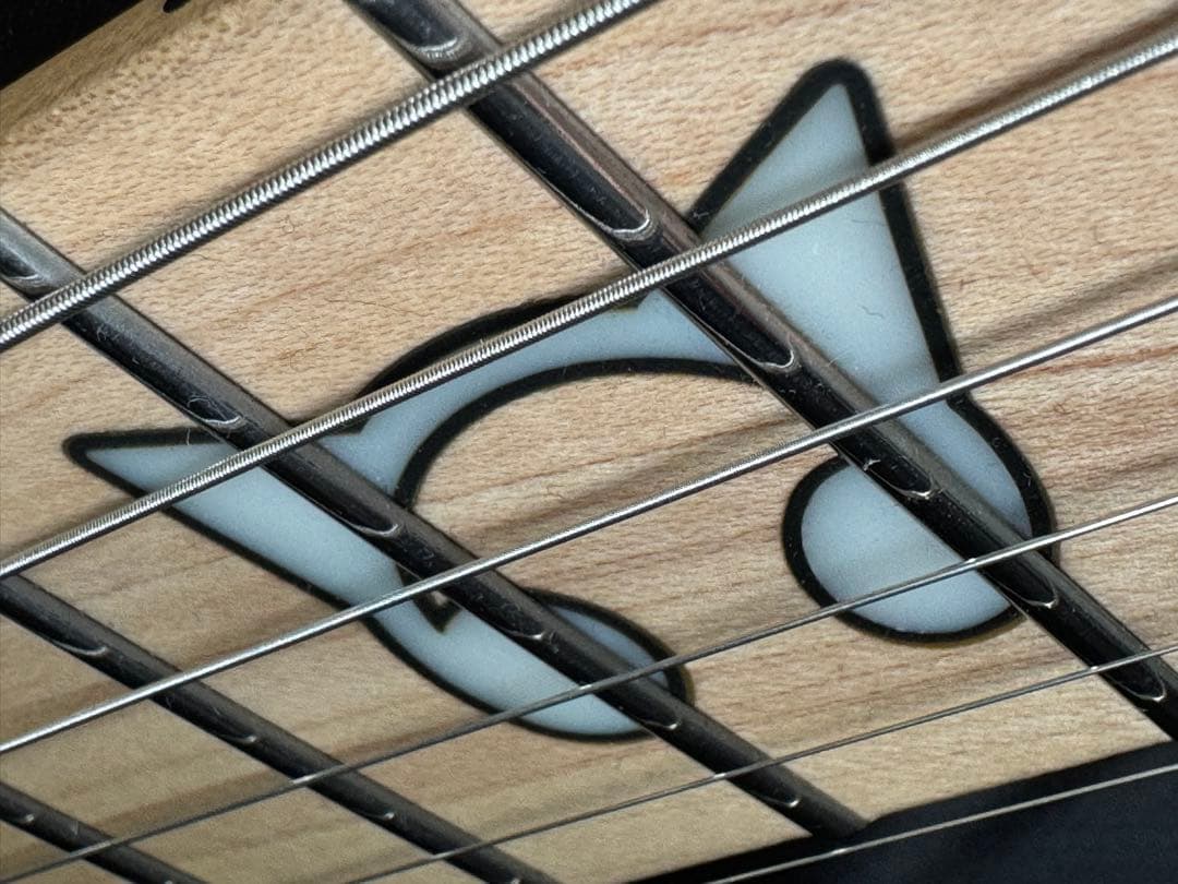 値下げ中✨️ 朝日六花コラボモデル ストランドバーグ 6弦 ケース付き