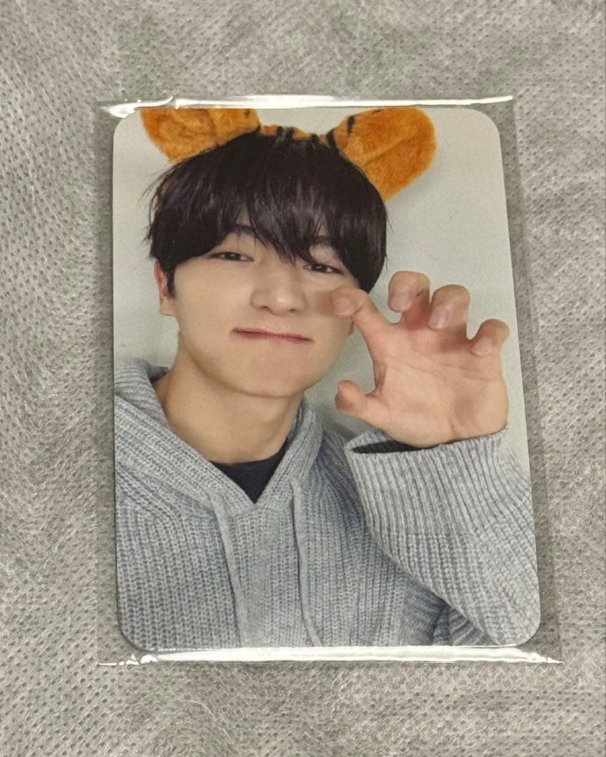 THEBOYZ ドボイズ a;effect Tiger タイガー サノク