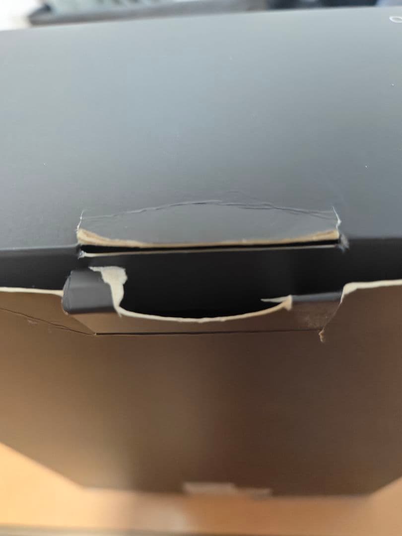 Sennheiser HD820 ヘッドフォン