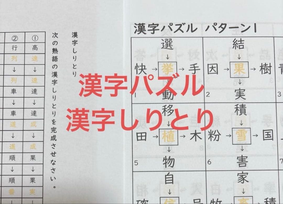 灘中国語対策　ABCDE 国語知識13種+外来語+俳句+漢字パズル+過去問漢字