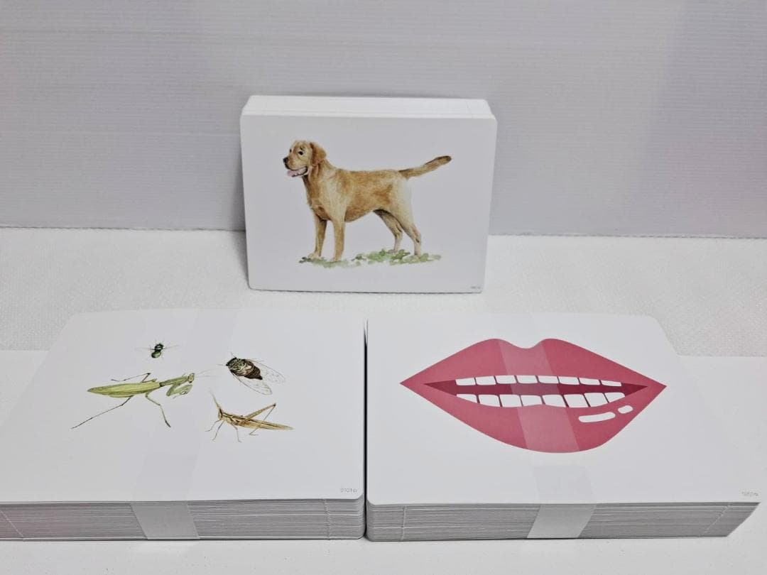 七田式 かな絵ちゃん Aセット 日本語版 フラッシュカード 単語リスト1冊付き