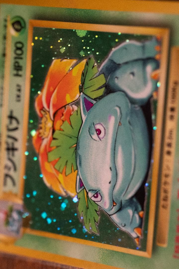 旧裏　フシギバナ ★ 第1弾拡張パック　マークあり　進化系セット