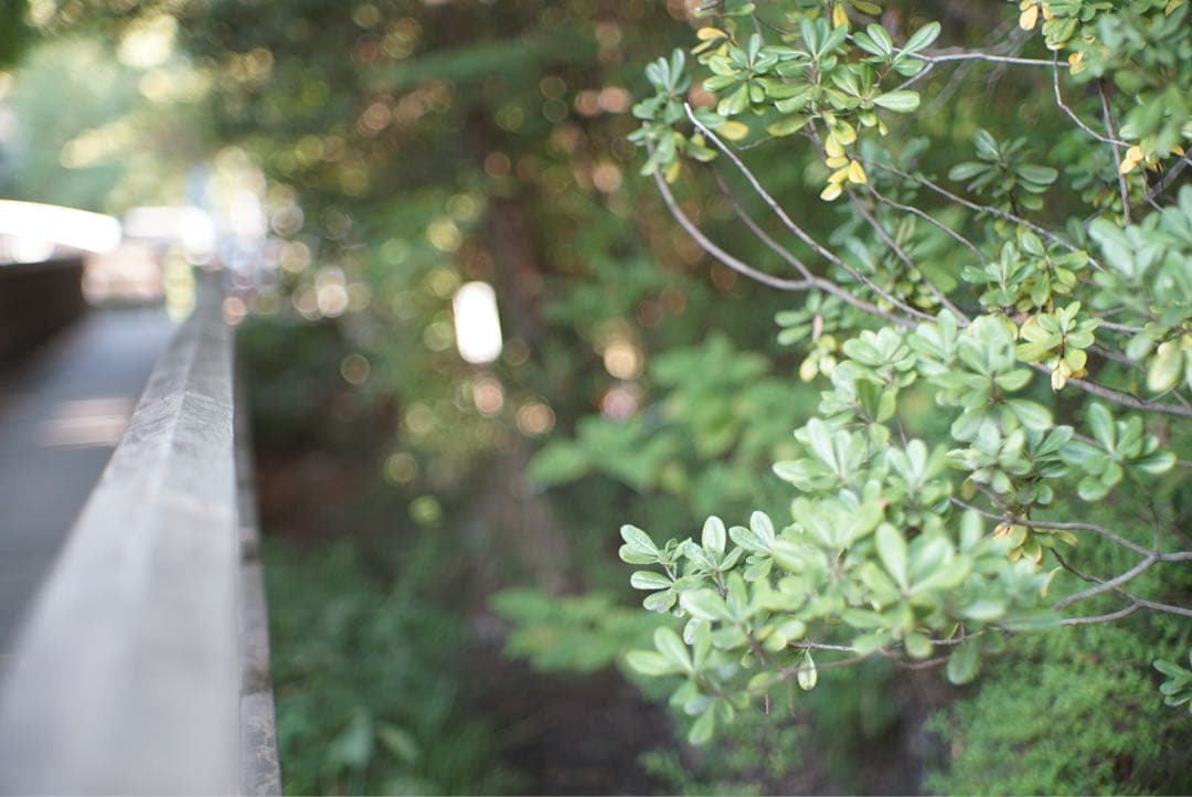 【希少】1969年製　jupiter9 85㎜f2 ★ライカMマウント