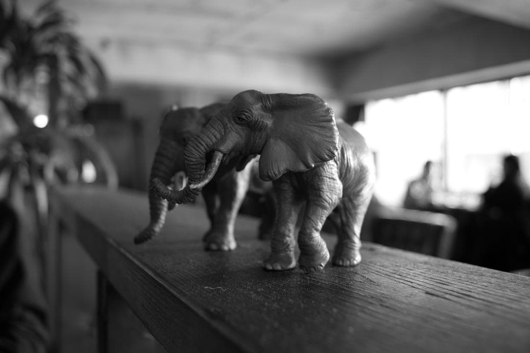 Limitedズーム！貴重なシルバー HD PENTAX-DA 20-40mm