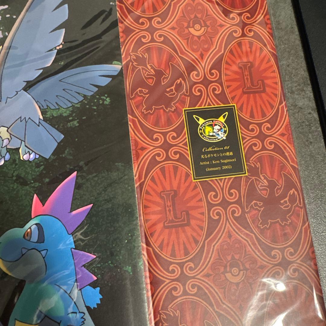 【新品未開封】光るポケモンとの遭遇　ファイルボックス　かがやく　リザードン