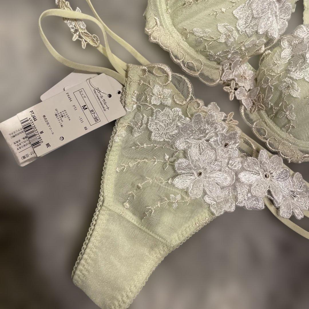 本日限定【激レア商品】Salute C65/M