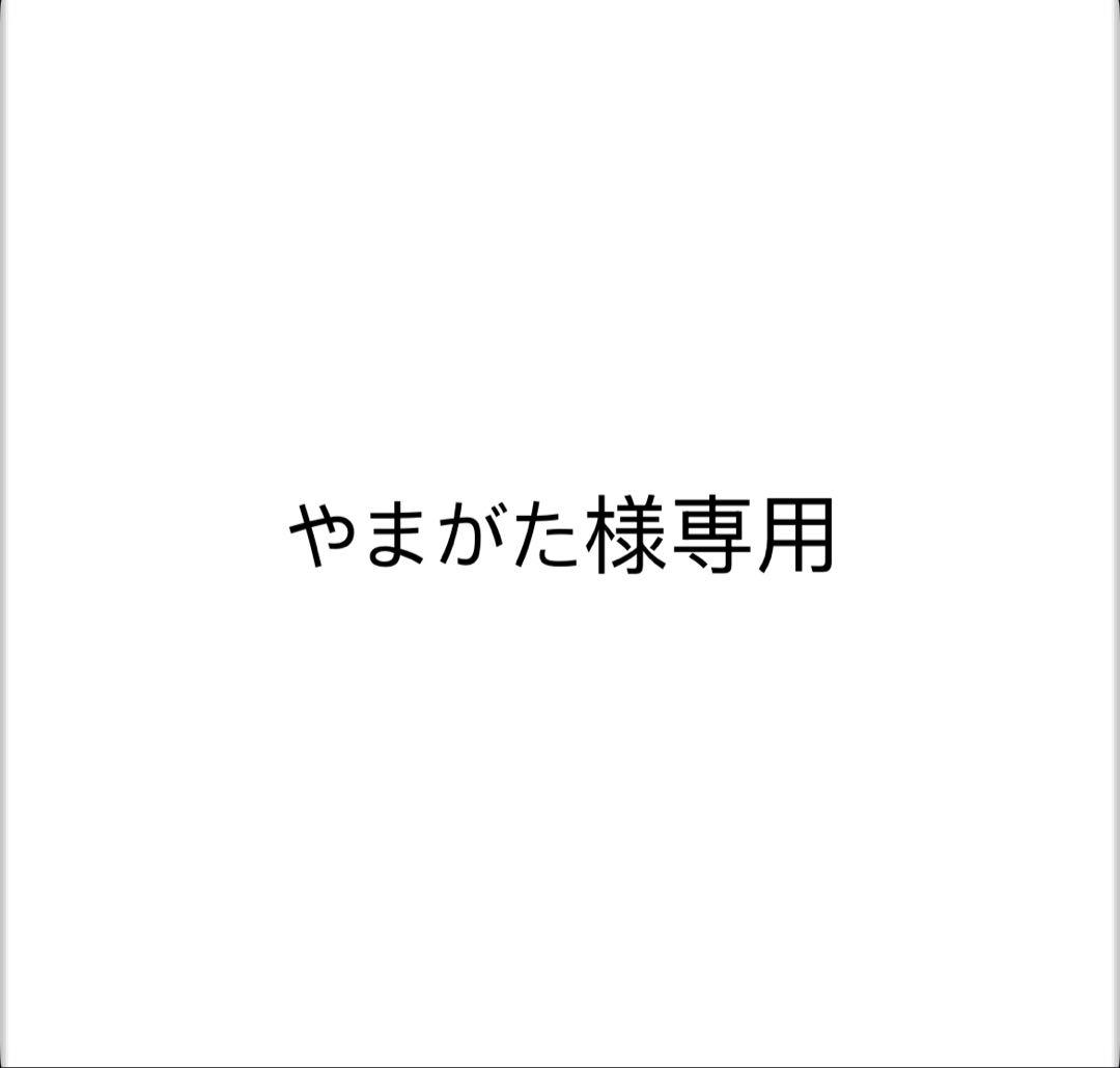 やまがた　ナカタハンガー5本