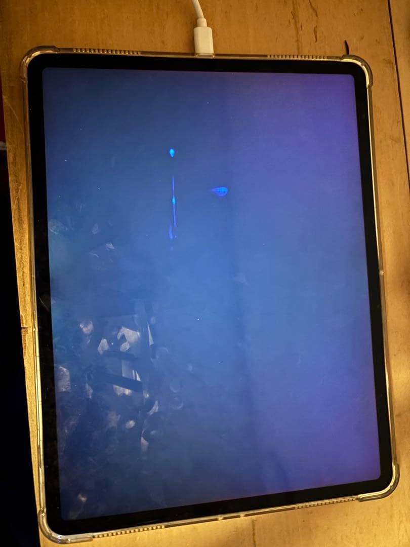 iPad本体 iPad pro 12.9