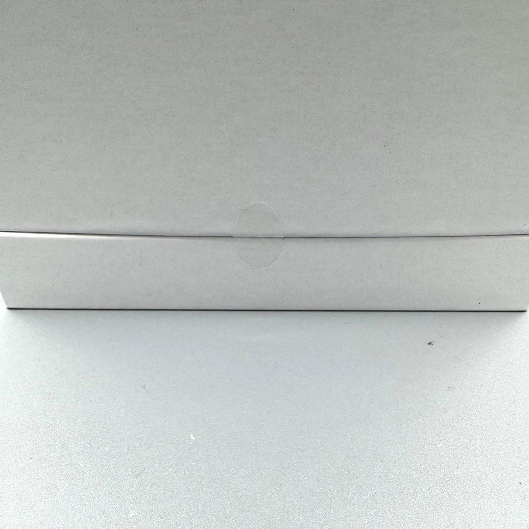 新品! SALONIA サロニア ピュアブライトスチーマーSAL22207SL