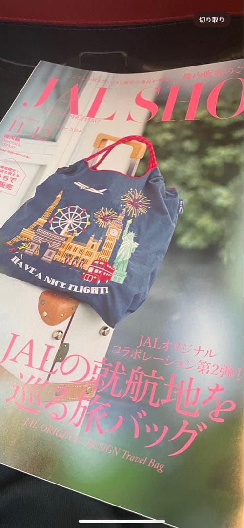 ⭐︎新品　JAL 機内販売　ボールアンドチェーン エコバッグ⭐︎