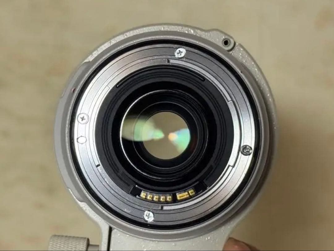 【美品】Canon EF 70-300mm F4-5.6 L IS USM
