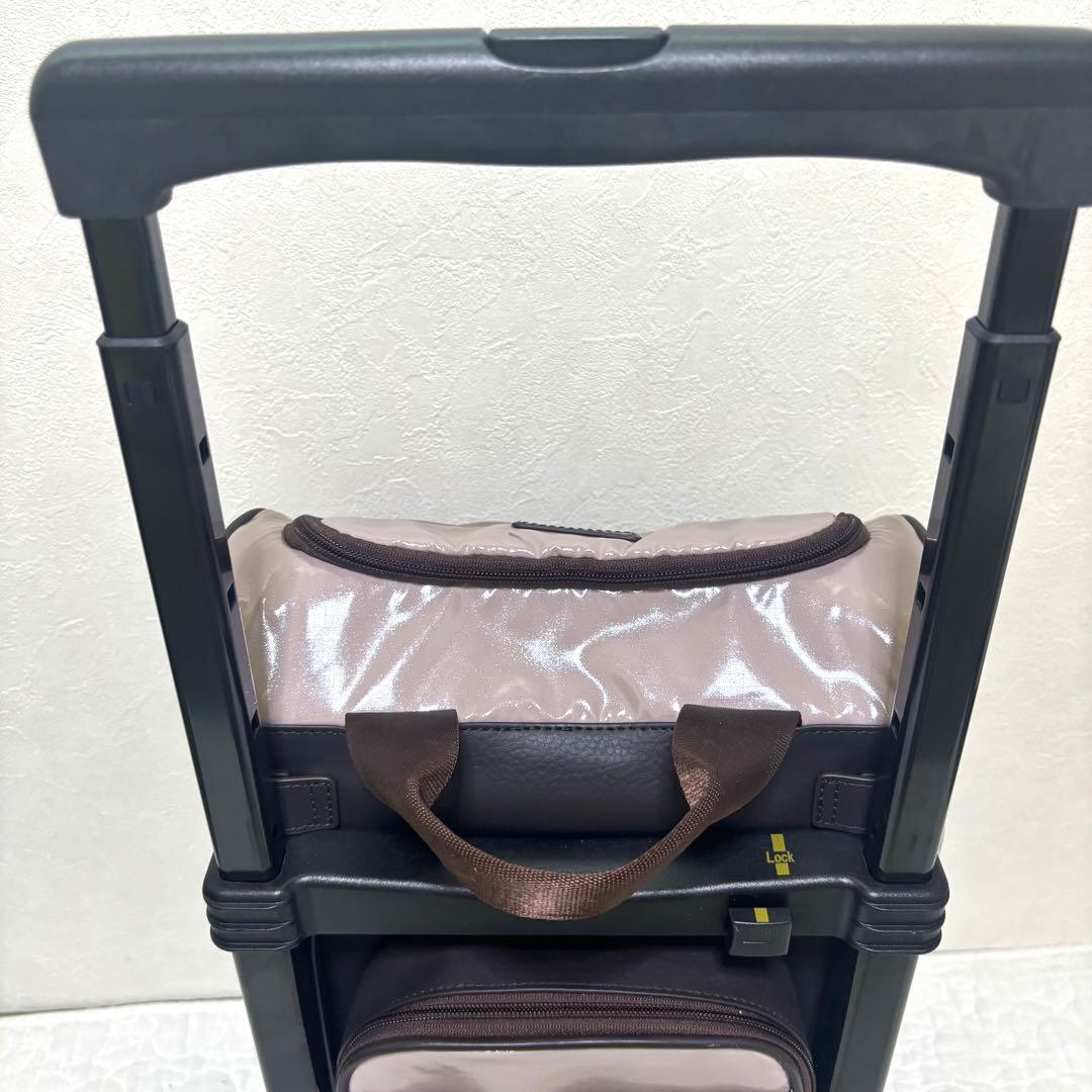 【希少色】SWANY スワニー キャリーケース キャリーバッグ 2way