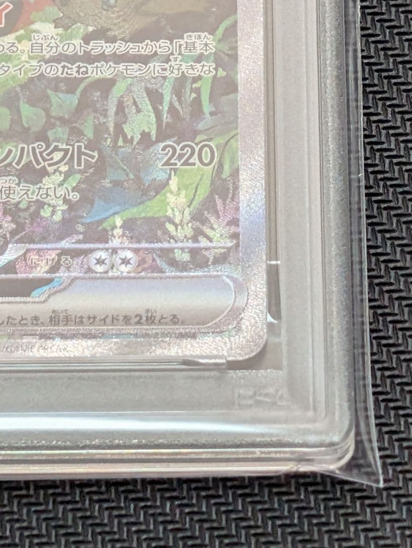 連番 ミライドン コライドンex sar psa10 最新ケース