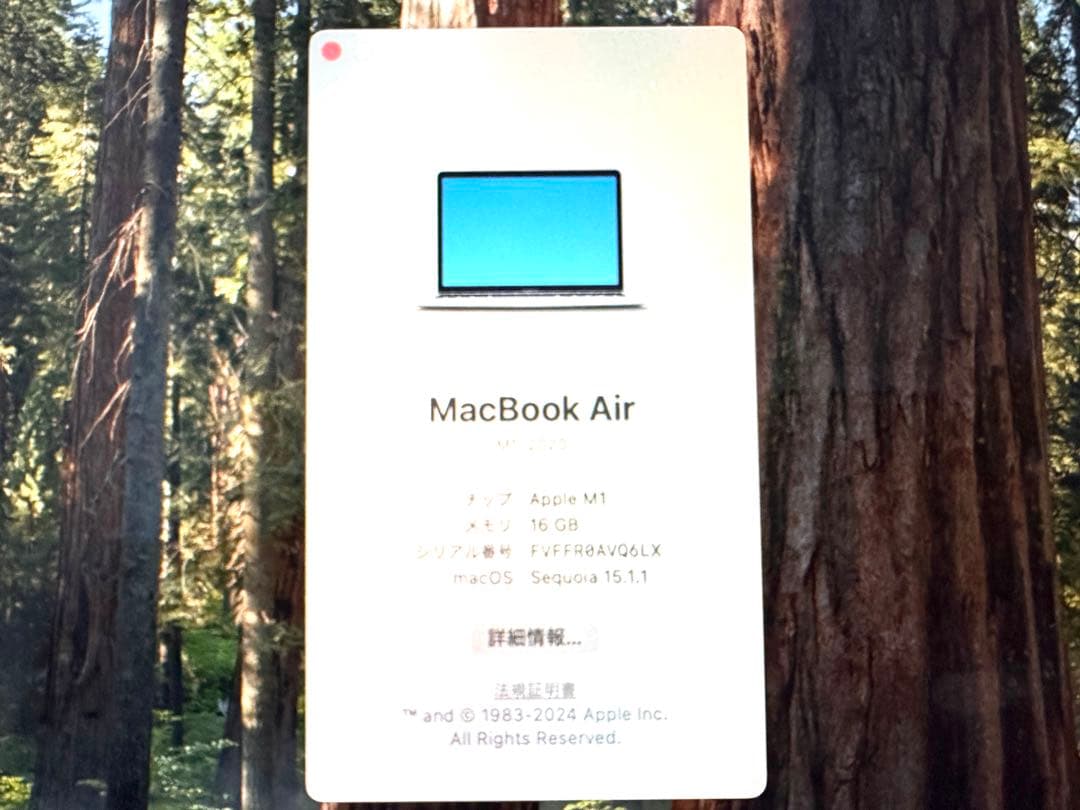 Q*Q様 MacBook Air シルバー m1 8c 8gpu 16MB 51