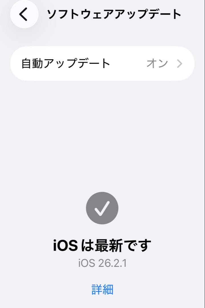 iPhone13 256GB SIMフリー
