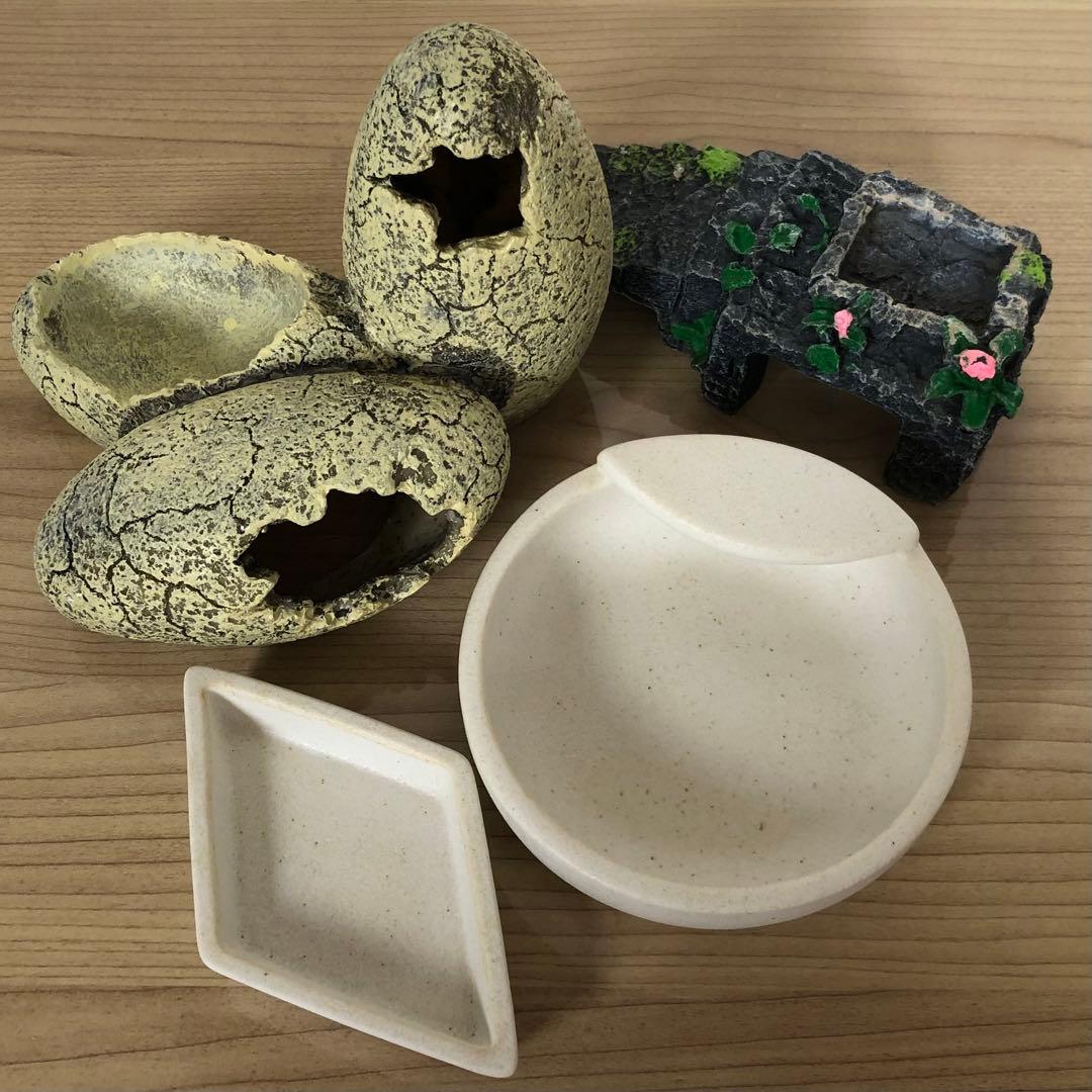 爬虫類 トカゲ カメ UV LED 照明 紫外線 ライト バスキングセット