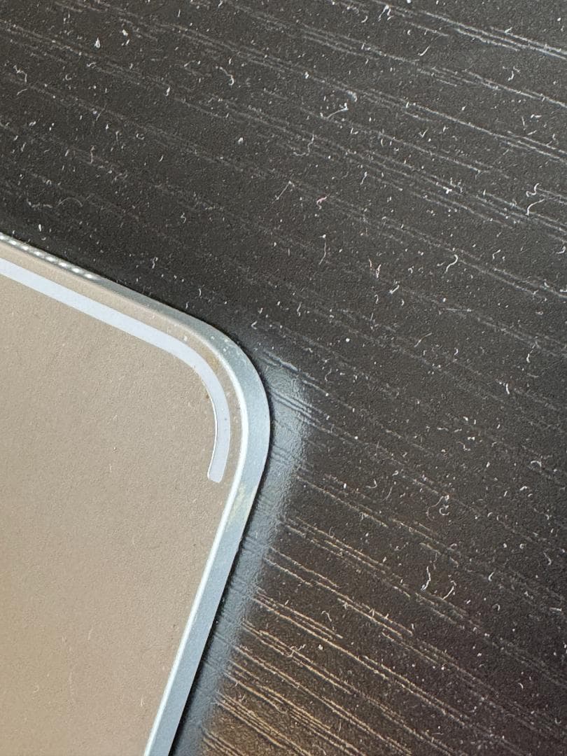 Apple iPad 12.9インチ 3世代 256gb シルバー ペンシル込み