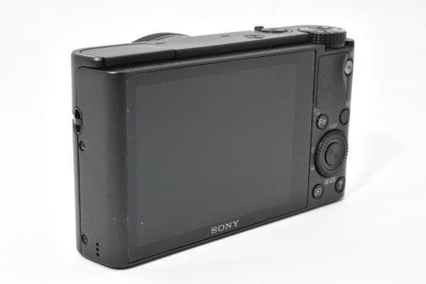 ★外観美品★ ソニー DSC-RX100 #793