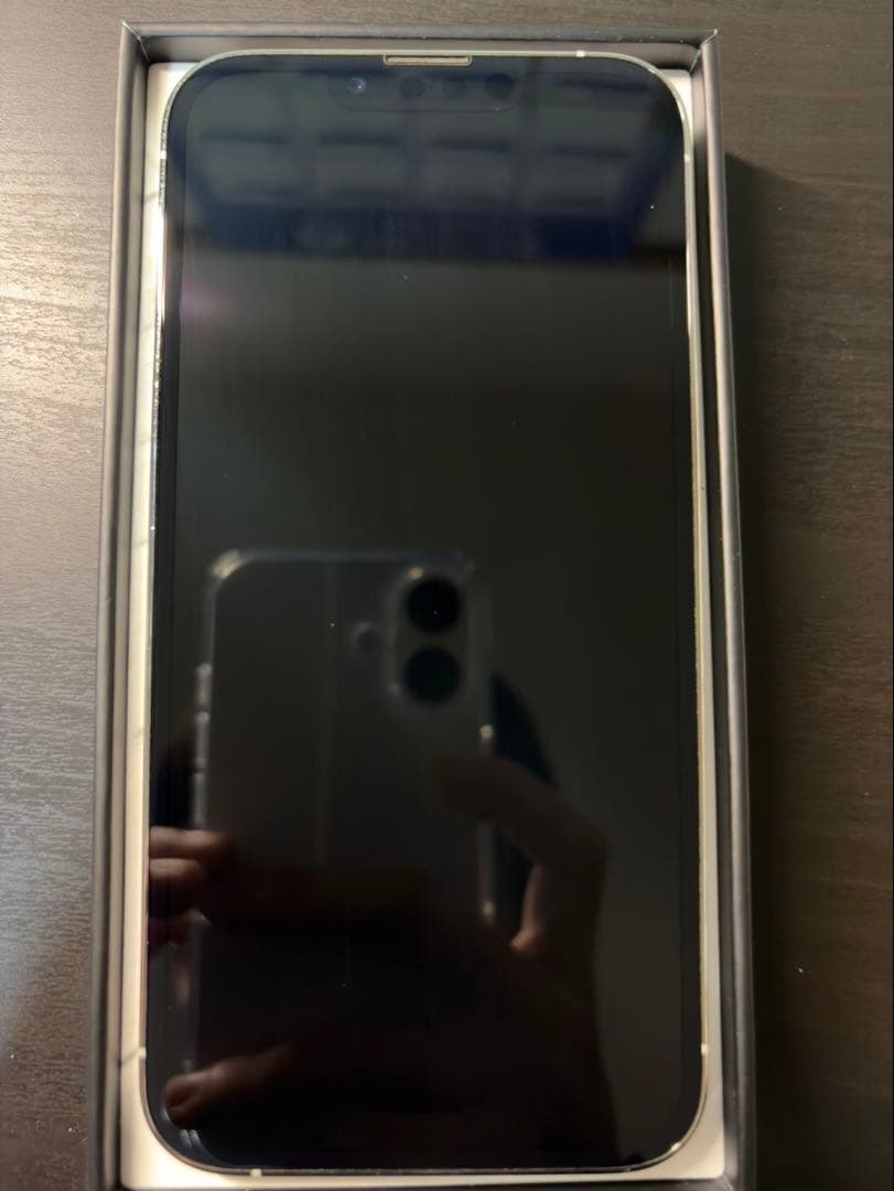 Apple iPhone 13 Pro シルバー 256 本体