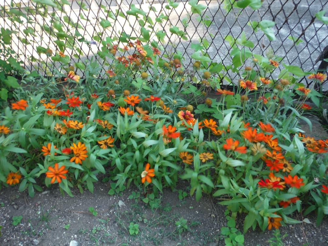 実写美⭕️【動作確認済み】FUJIFILM FinePix XP70 防水カメラ