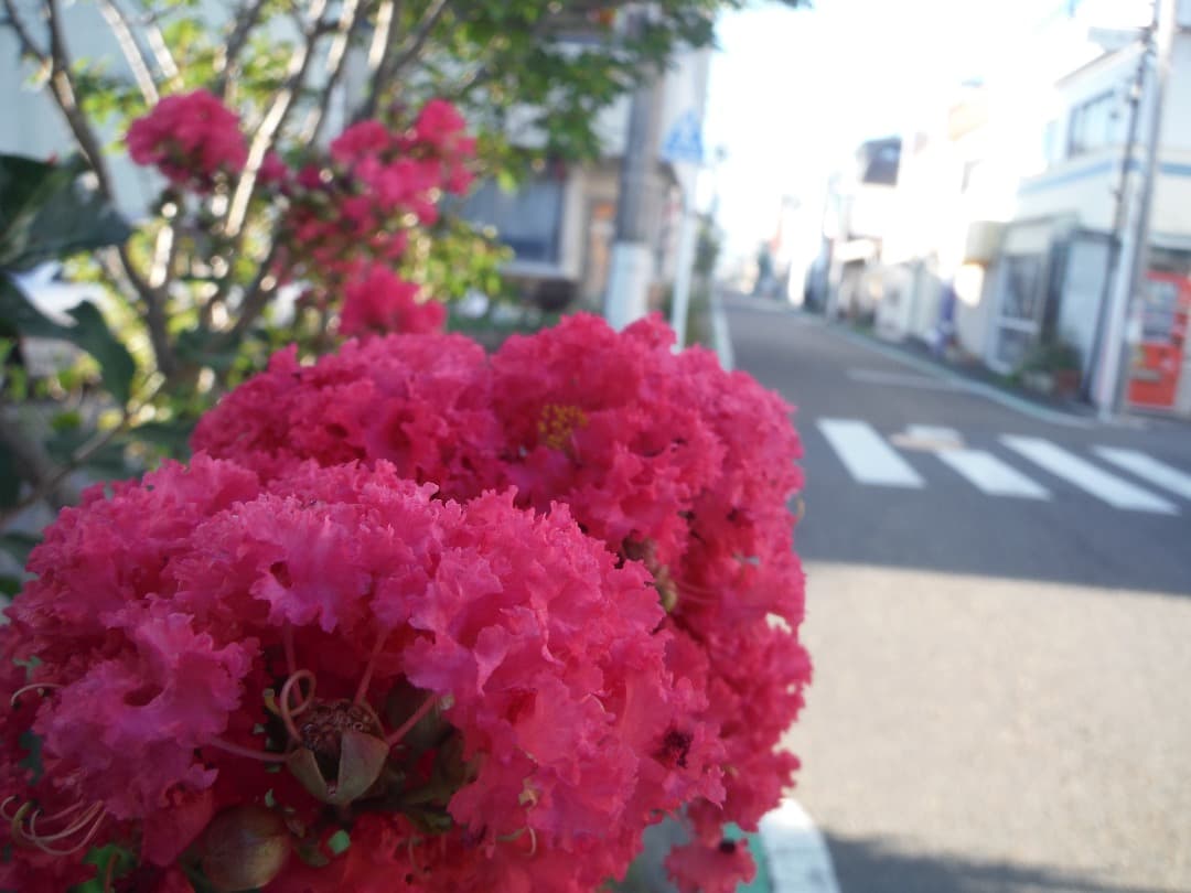 実写美⭕️【動作確認済み】FUJIFILM FinePix XP70 防水カメラ