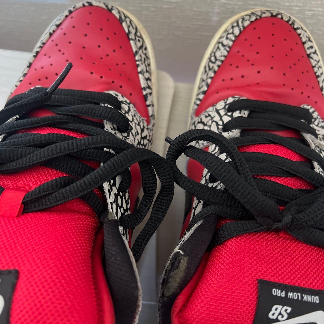 H*M様 Nike SB Dunk Low supreme