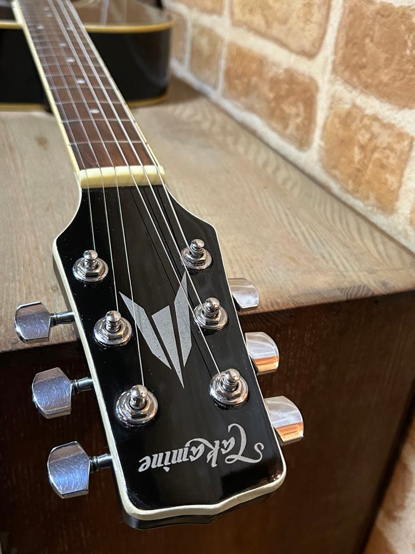 タカミネ エレクトリックアコースティックギター