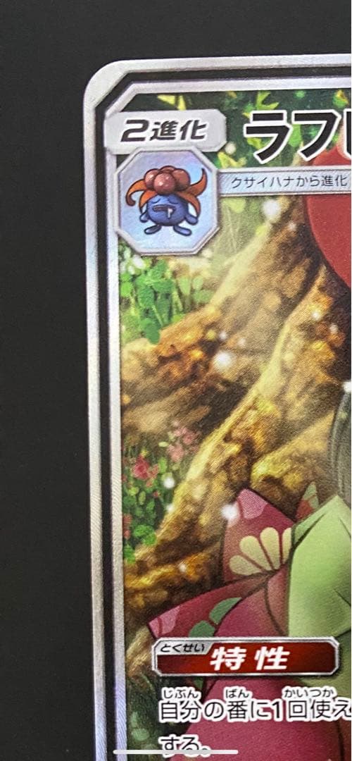 ラフレシアGX SA 美品　PSA 鑑定用