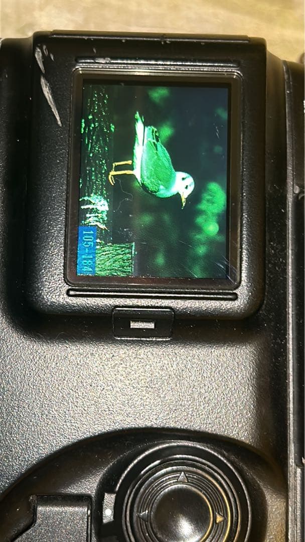 デジタルカメラ Nikon D1