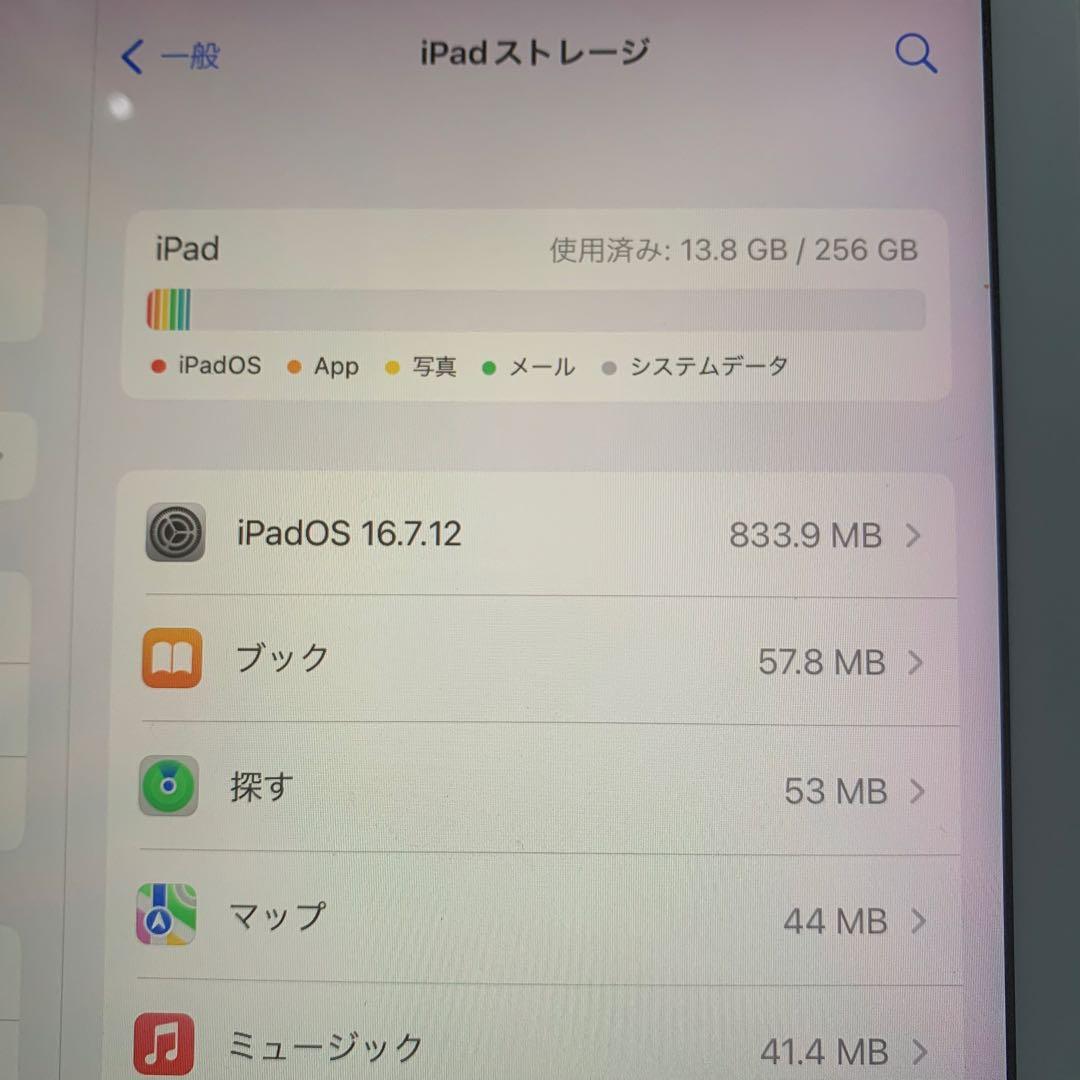 iPad Pro 9.7インチ 256GB Wi-Fiモデル 本体のみ