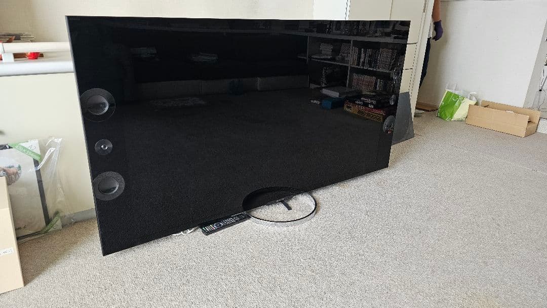 ヘッカモ　65V型BRAVIA ブラビア KD-65X9200A