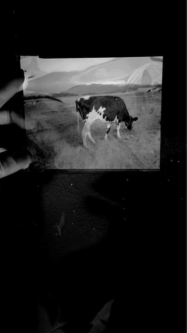 【作例あり】 Crown Graphic 4×5 レンズやその他セット　大判