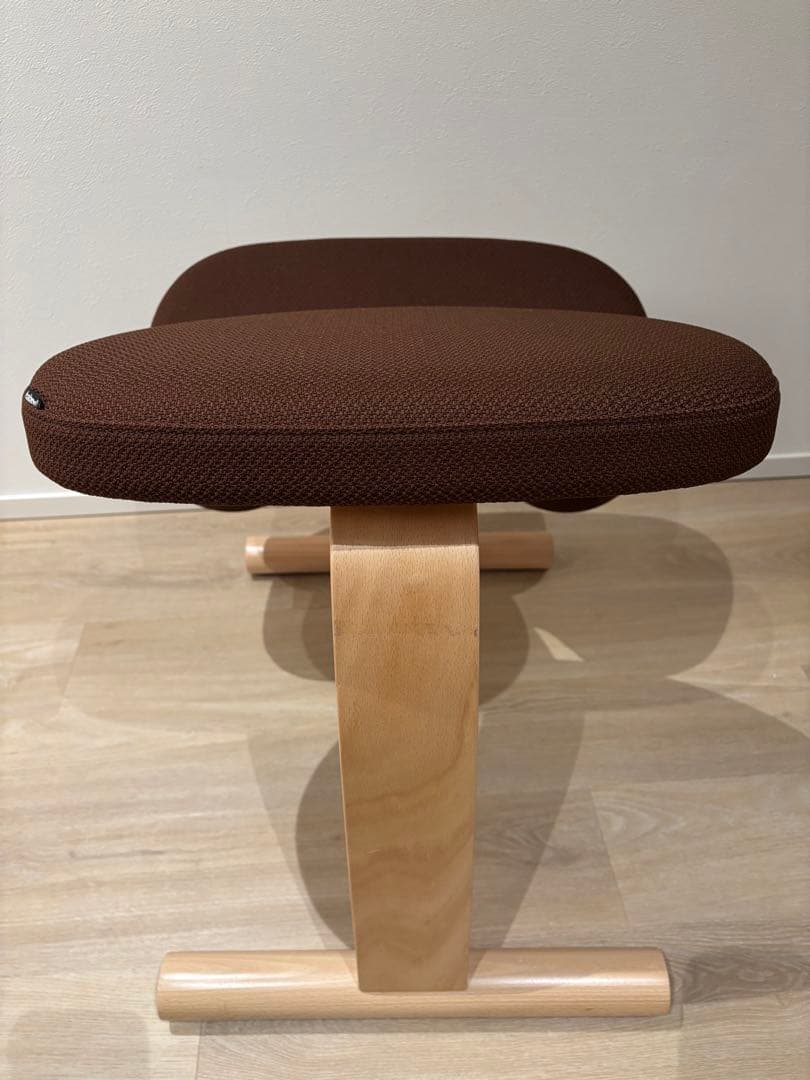 【極美品・2024年12月購入】バランスイージー　通常フレーム