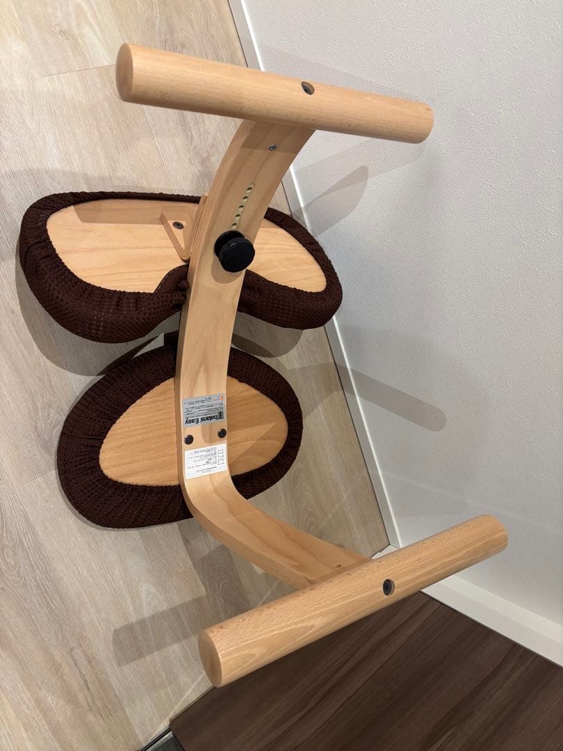 【極美品・2024年12月購入】バランスイージー　通常フレーム