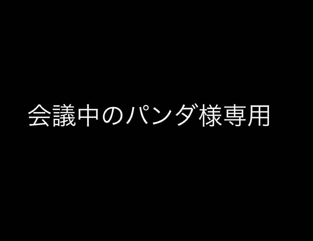 会議中のパンダ