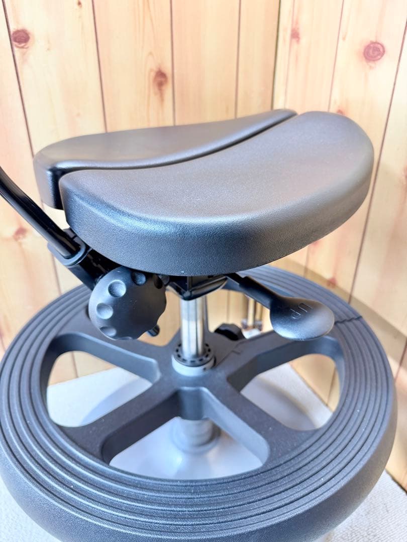 アーユル チェア Ayur-chair ルナ 丸ベース 足置きリング ブラック