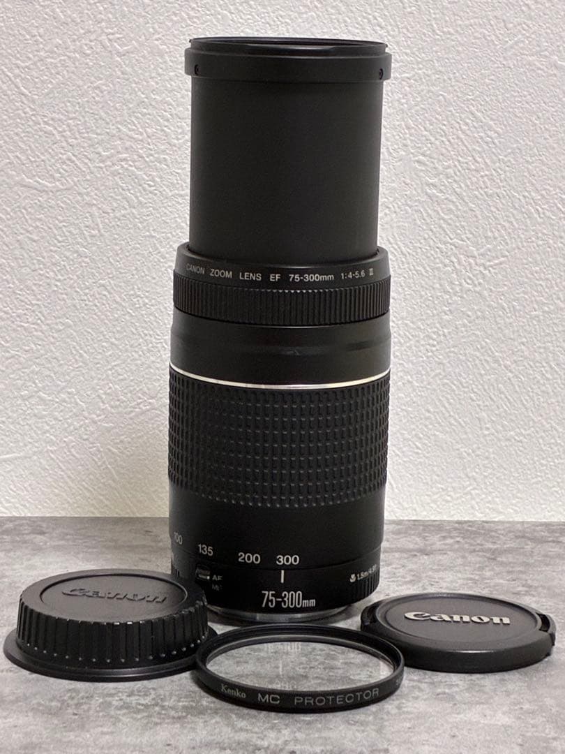 ⭐️完動品⭐️ Canon EF 75-300mm F4-5.6 III 望遠レンズ