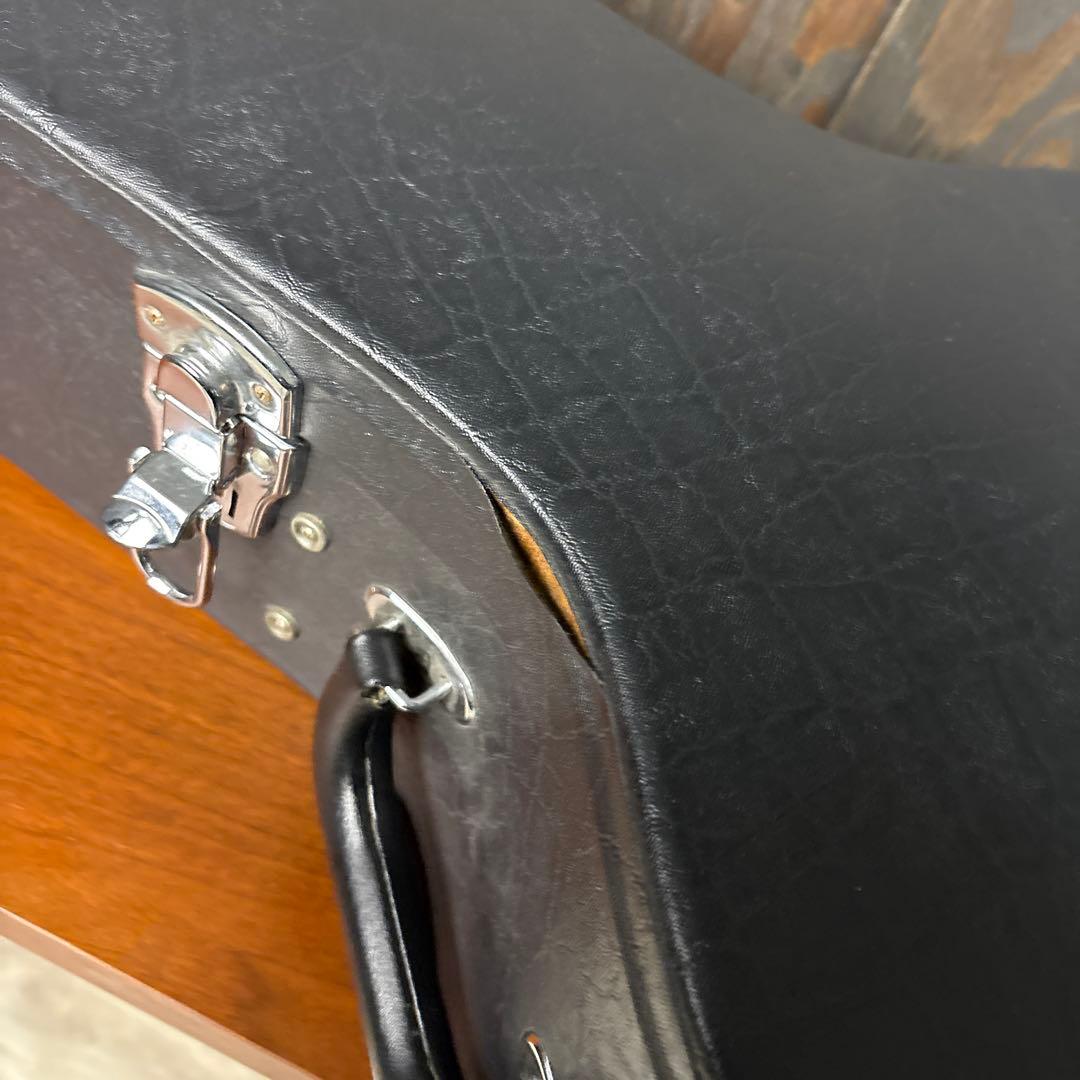 VG アコースティックギター カッタウェイ エレガットハードケース付き