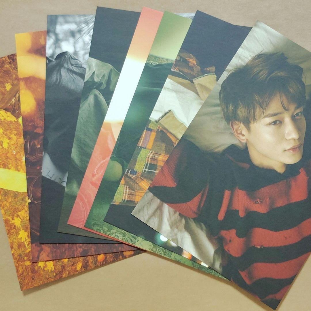 SM公式 SHINee 1and1大判 ポストカードセット 16枚入り