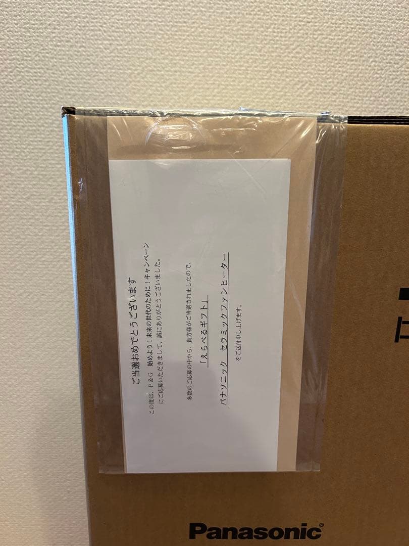 【新品・未開封】パナソニック　DS-FWX1201