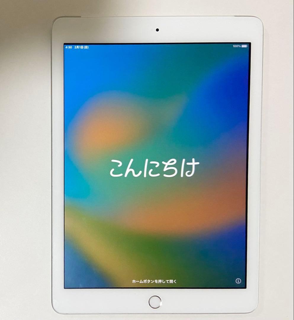 【ジャンク品】iPad 第5世代 9.7インチ Cellular A1823