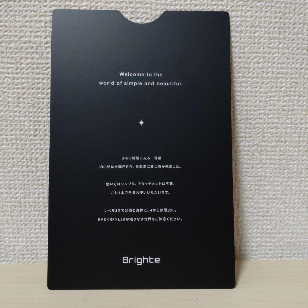 ブライト エレキブラシ Brighte ELEKI BRUSH