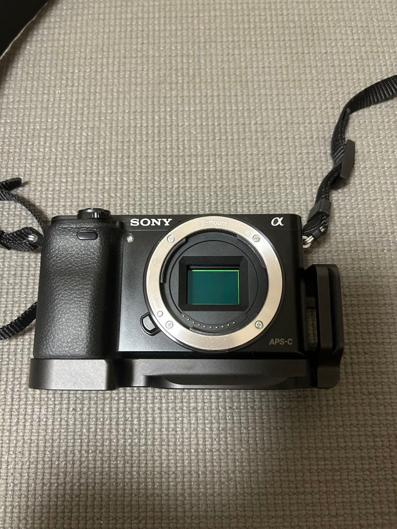 SONY α6000 ダブルズームセット