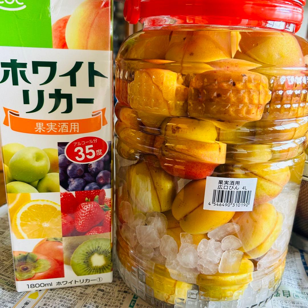 あんず酒　4ℓ瓶　　説明をお読みください