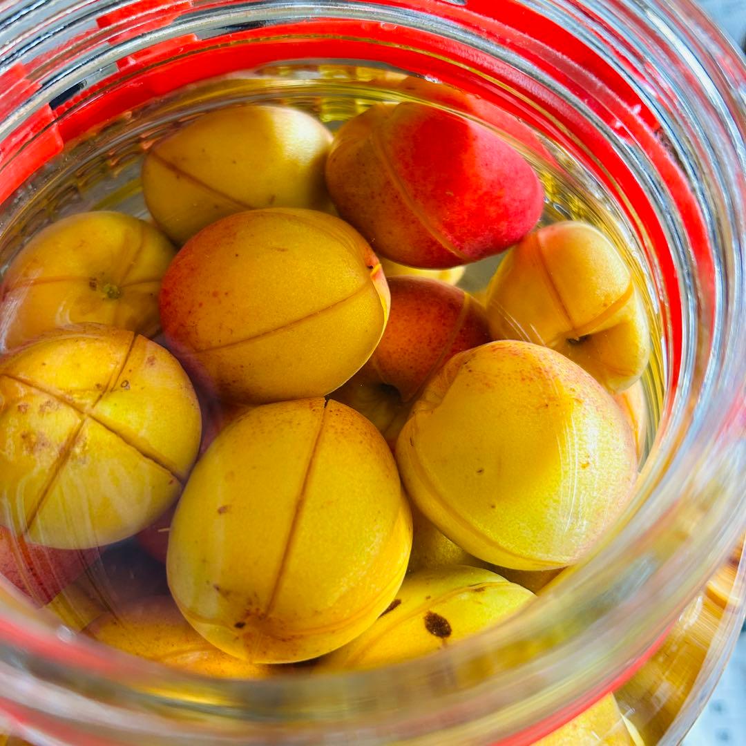 あんず酒　4ℓ瓶　　説明をお読みください