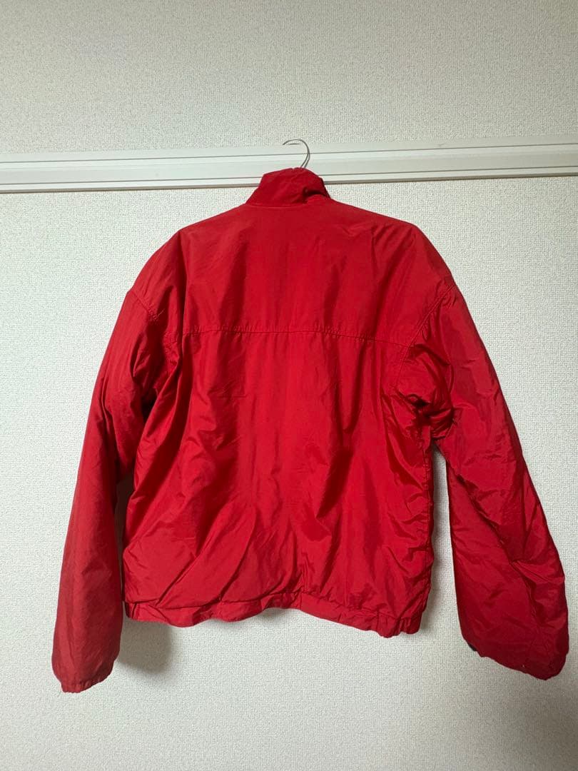 シェルドシンチラ　patagonia