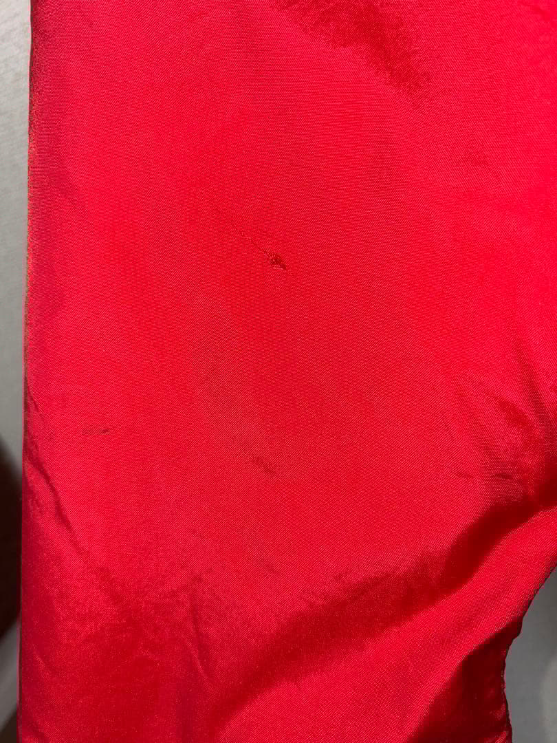 シェルドシンチラ　patagonia